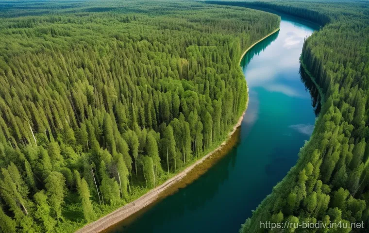 생물다양성 보전 관련 자격증 종류 - **Prompt:** A diverse group of three environmental professionals (two men, one woman, 30s-40s), dres...